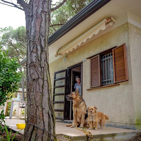 Arco Bungalow Ераклеа Екстер'єр фото