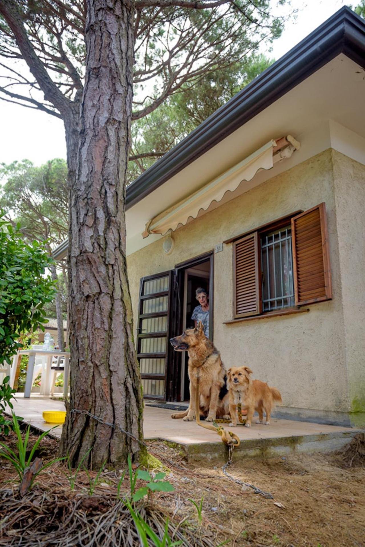 Arco Bungalow Ераклеа Екстер'єр фото